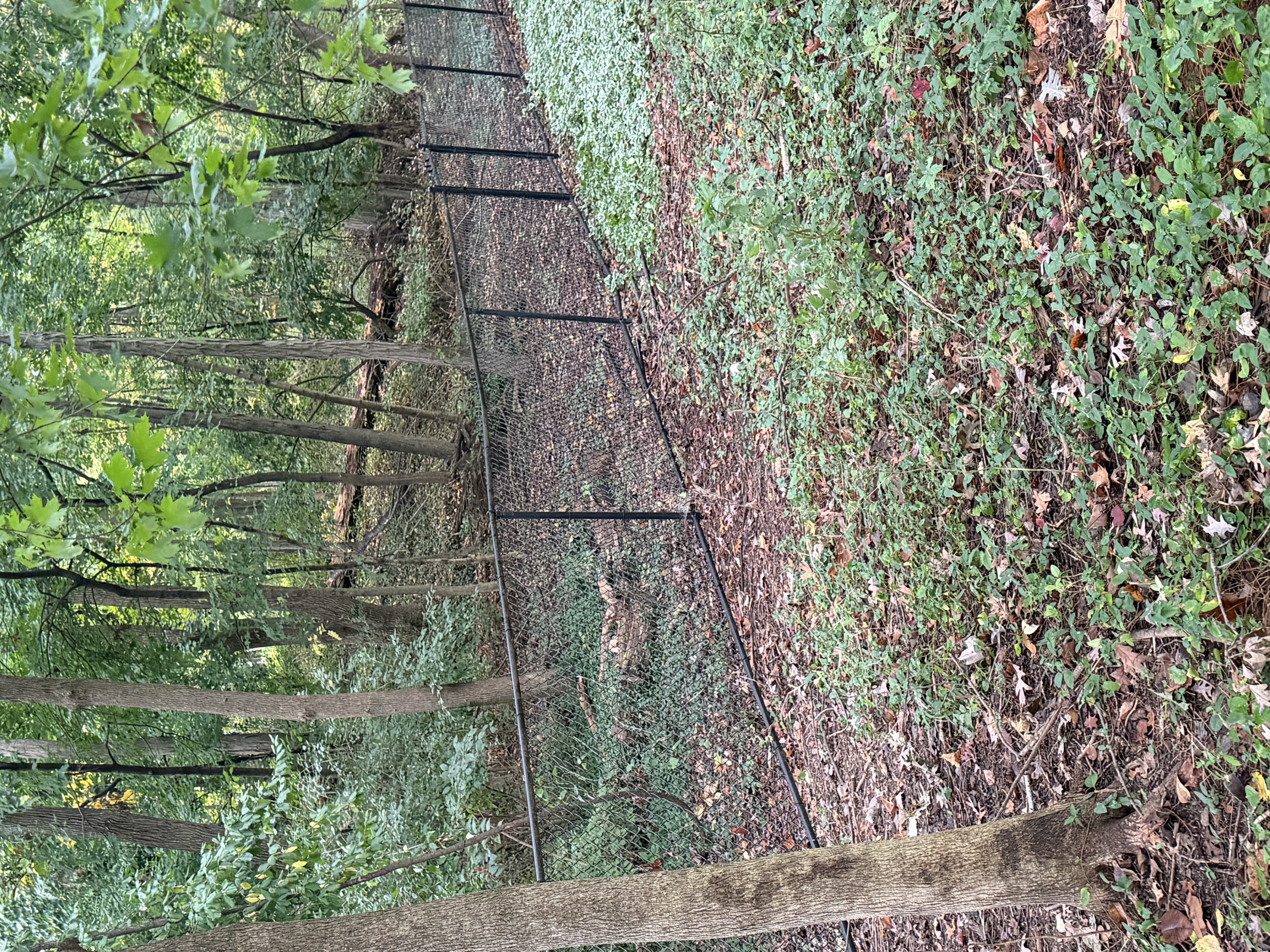 Seasonal Fence Maintenance Tips: Year-Round Care Guide