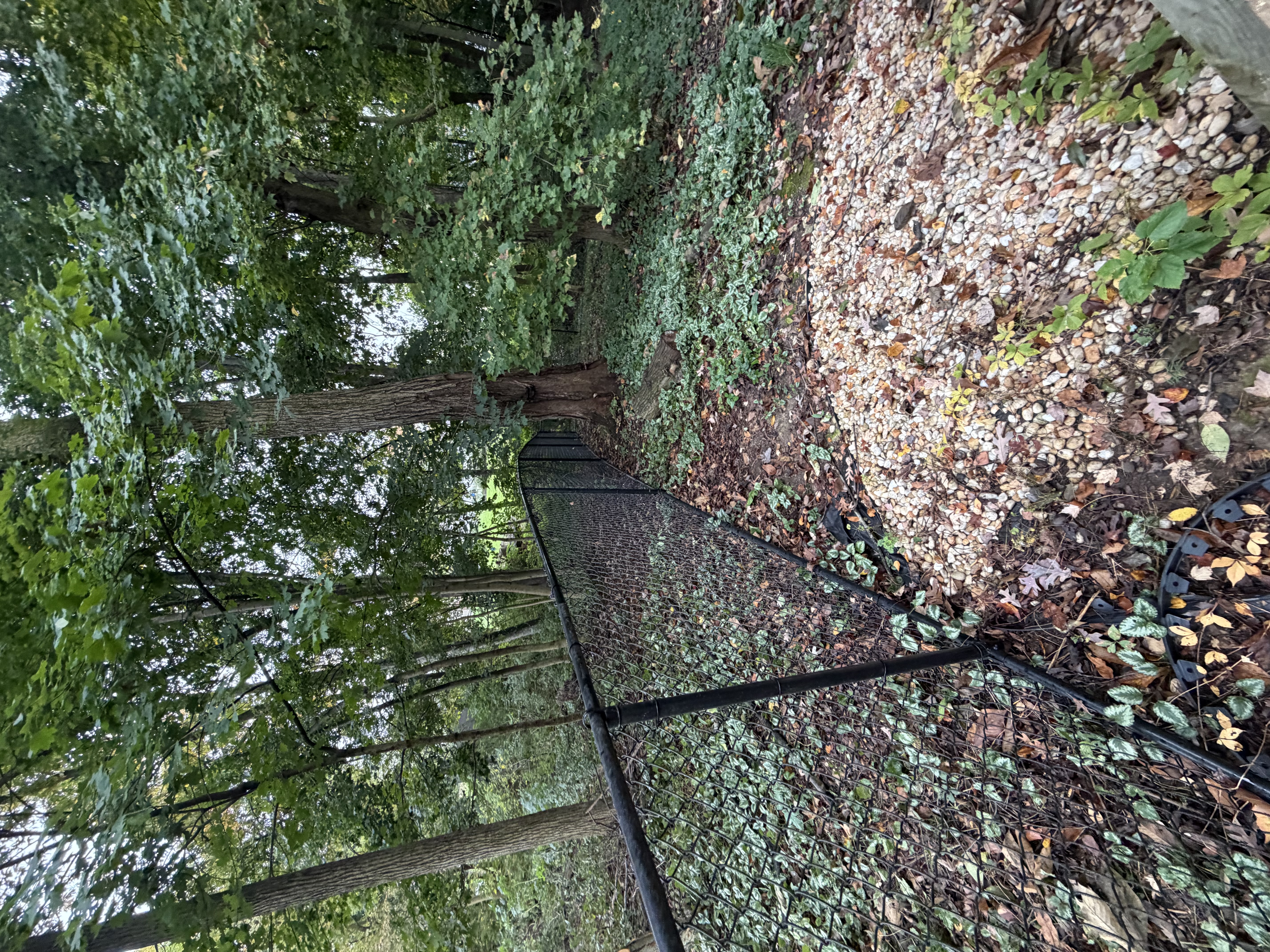 Choosing Fence Gate Styles & Driveway Gates
